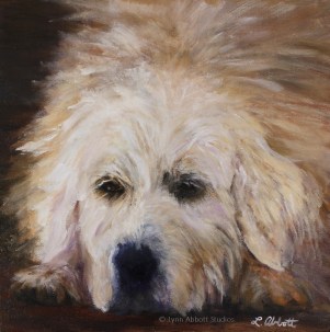 Resting, © Lynn Abbott Studios with watermark